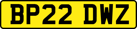 BP22DWZ
