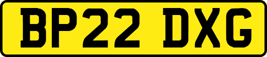 BP22DXG