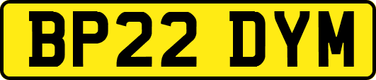 BP22DYM