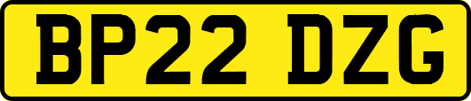 BP22DZG