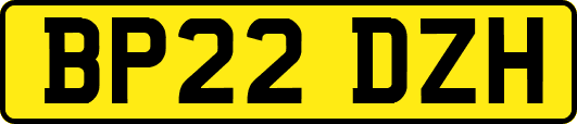 BP22DZH