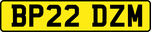 BP22DZM