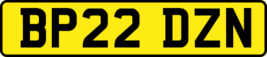 BP22DZN