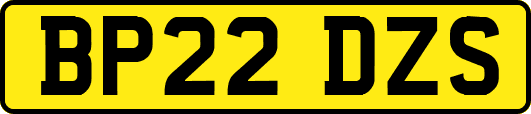BP22DZS
