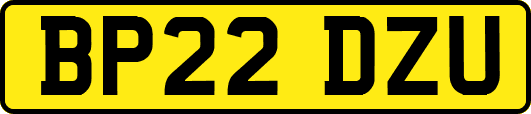 BP22DZU