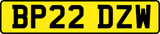 BP22DZW