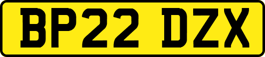 BP22DZX