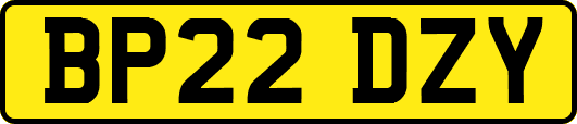 BP22DZY