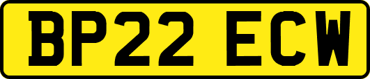BP22ECW