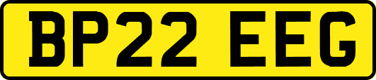 BP22EEG