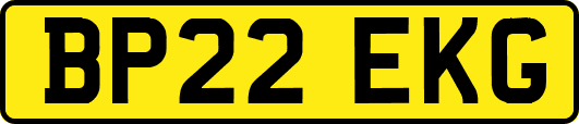 BP22EKG