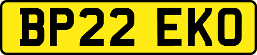 BP22EKO