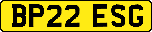BP22ESG