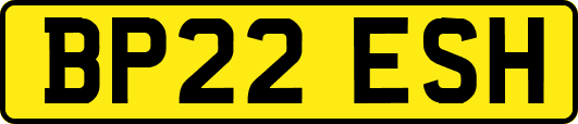 BP22ESH