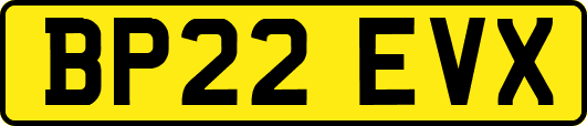 BP22EVX