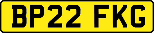 BP22FKG