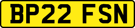 BP22FSN
