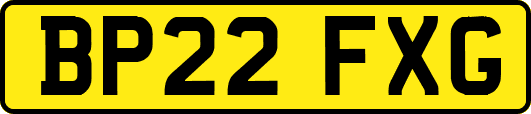 BP22FXG