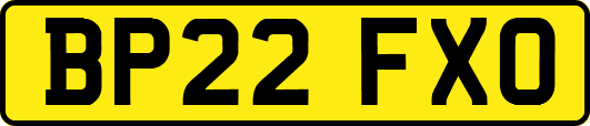 BP22FXO