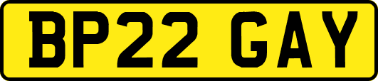 BP22GAY
