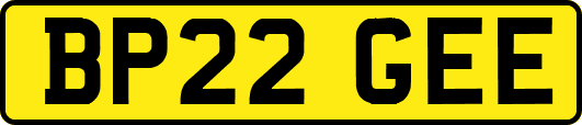BP22GEE