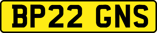 BP22GNS