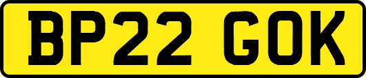BP22GOK