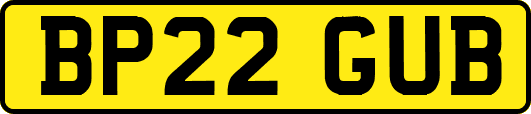 BP22GUB
