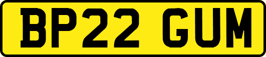 BP22GUM