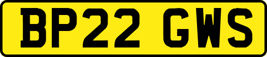 BP22GWS