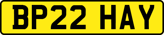 BP22HAY