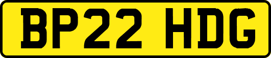BP22HDG