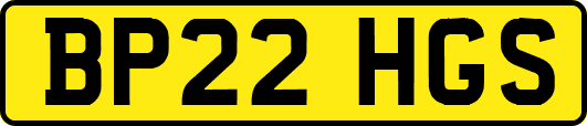 BP22HGS