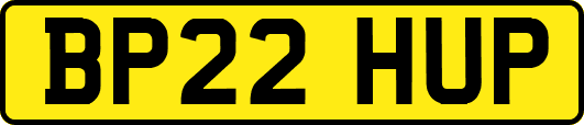 BP22HUP