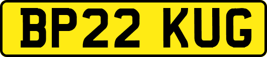 BP22KUG