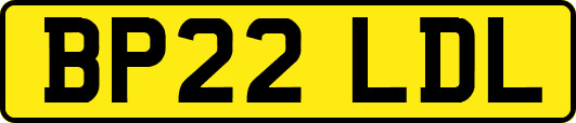 BP22LDL