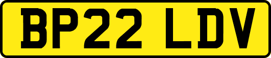 BP22LDV