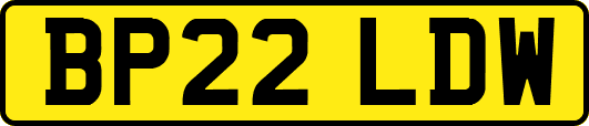 BP22LDW