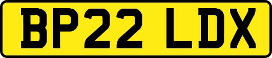 BP22LDX