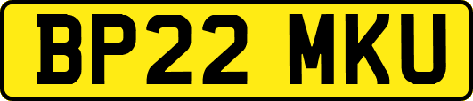 BP22MKU