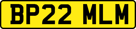 BP22MLM