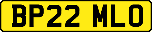 BP22MLO