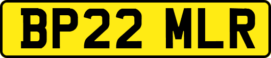 BP22MLR