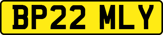 BP22MLY