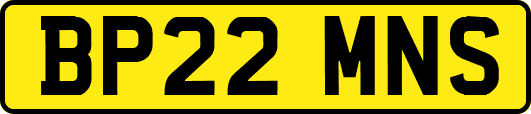 BP22MNS