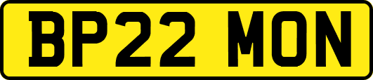 BP22MON