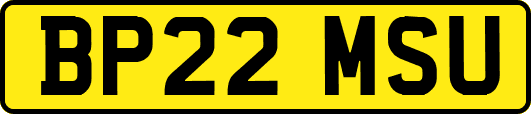 BP22MSU