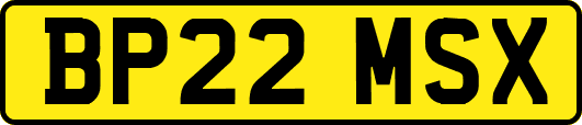 BP22MSX