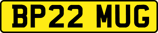 BP22MUG