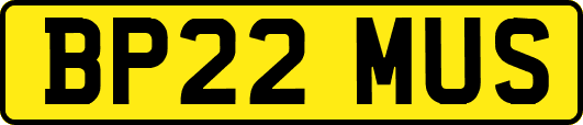 BP22MUS